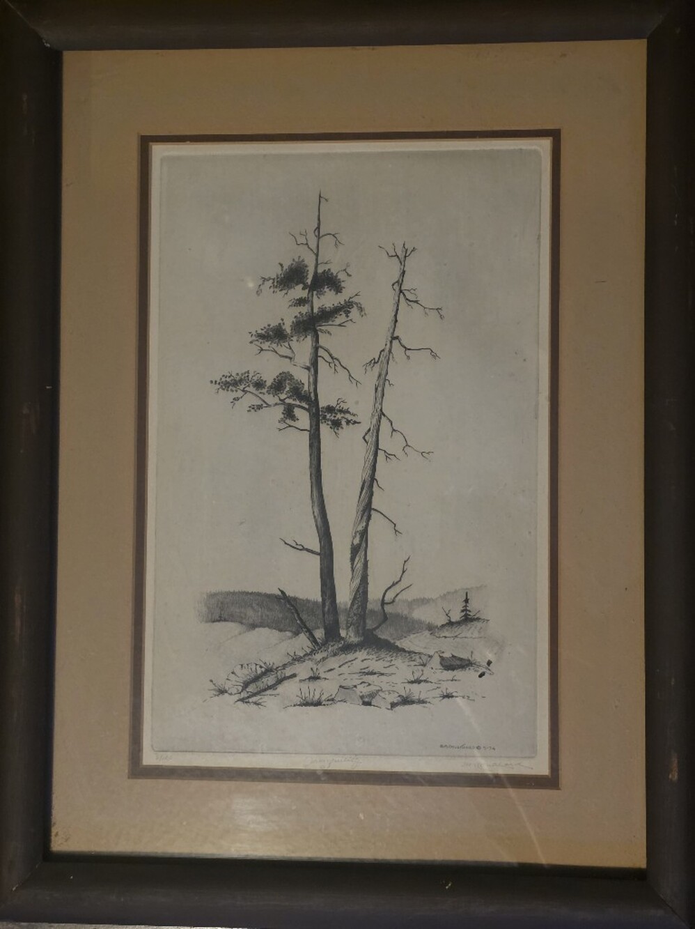 Vintage Steve Coulthard Hand-Pulled Landscape Etching – Limited Edition 6/100 (1